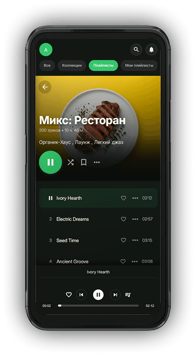 Комузыка — мобильное приложение Приложение Комузыка на смартфоне